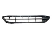 Front bumper lower grill