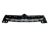 Front bumper upper radiator grill