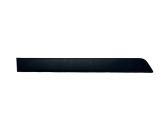 Rear door trim (molding)