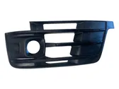 Front fog light trim/grill