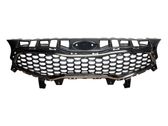 Front bumper upper radiator grill