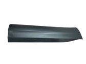 Front door trim (molding)