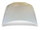 Engine bonnet/hood