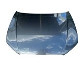Engine bonnet/hood