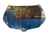 Engine bonnet/hood
