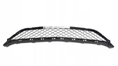 Front bumper lower grill