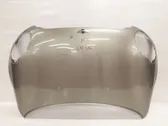 Engine bonnet/hood