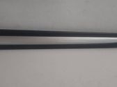 Front door trim (molding)