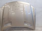 Motorhaube