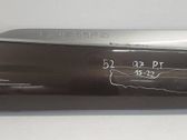 Rear door trim (molding)