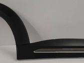Listón embellecedor de la puerta delantera (moldura)