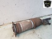 Stoßdämpfer hinten