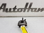 Bremssattel hinten