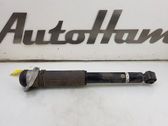 Rear shock absorber/damper