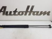 Tailgate/trunk strut/damper
