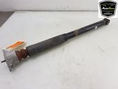 Rear shock absorber/damper