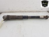 Stoßdämpfer hinten