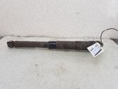 Stoßdämpfer hinten