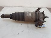 Rear shock absorber/damper