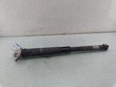 Rear shock absorber/damper