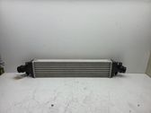 Intercooler radiator