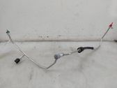 Light module LCM
