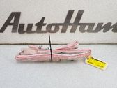 Airbag del techo