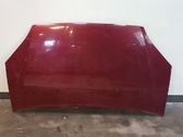 Engine bonnet/hood