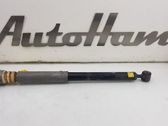 Rear shock absorber/damper