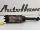 Front shock absorber/damper