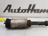 Front shock absorber/damper