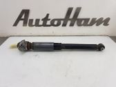 Rear shock absorber/damper