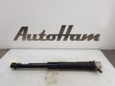 Rear shock absorber/damper