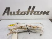 Roof airbag