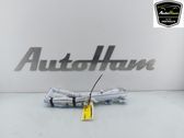 Roof airbag