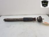 Rear shock absorber/damper