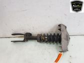 Front shock absorber/damper