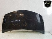 Capó/tapa del motor