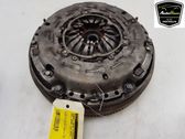 Plaukiojantis dviejų masių smagratis