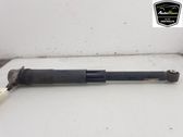 Stoßdämpfer hinten
