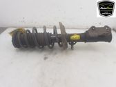 Front shock absorber/damper