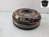 Dual mass flywheel