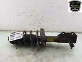 Front shock absorber/damper