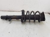 Front shock absorber/damper
