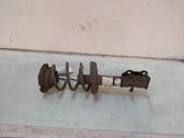 Front shock absorber/damper