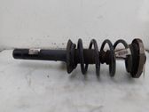 Front shock absorber/damper
