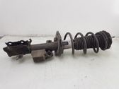 Front shock absorber/damper