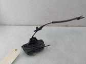 Línea de cable puerta delantera