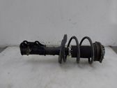 Front shock absorber/damper