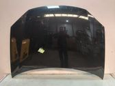 Motorhaube